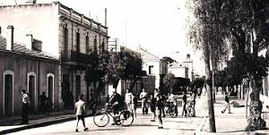 2182- Sainte-Barbe-du-Tlelat - Route de Sidi-Bel-Abbes2 - 1955